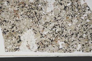 Plane Polarized, S59942