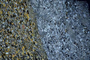 Cross Polarized, S59965