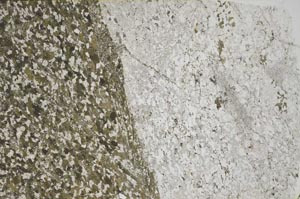 Plane Polarized, S59965