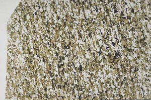 Plane Polarized, S59966