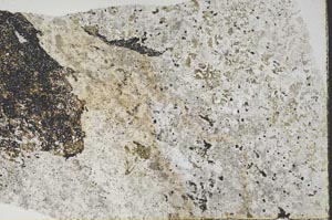 Plane Polarized, S59969