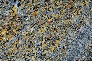 Cross Polarized, S59970