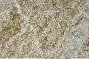 Plane Polarized, S59970