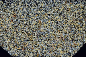 Cross Polarized, S59971