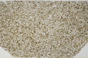 Plane Polarized, S59971