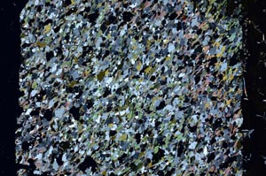 Cross Polarized, S59973/A
