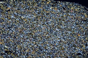 Cross Polarized, S59985