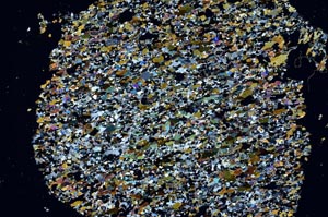 Cross Polarized, S59986