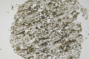 Plane Polarized, S59986