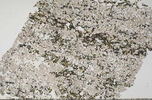 Plane Polarized, S59987