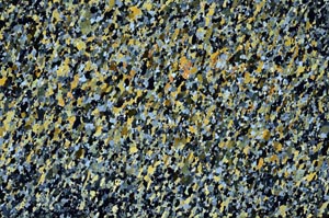 Cross Polarized, S59989