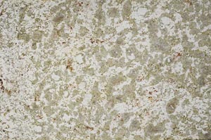 Plane Polarized, S59992