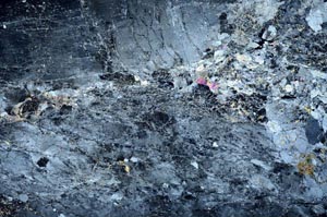 Cross Polarized, S59993