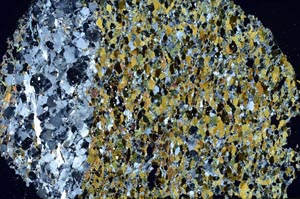 Cross Polarized, S59994