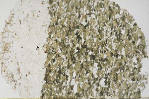 Plane Polarized, S59994