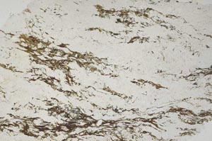 Plane Polarized, S59996