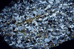 Cross Polarized, S59997