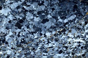 Cross Polarized, S59998