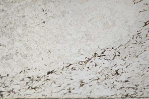 Plane Polarized, S59998