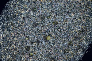 Cross Polarized, S59999