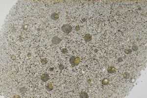 Plane Polarized, S59999