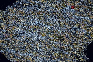 Cross Polarized, S60000