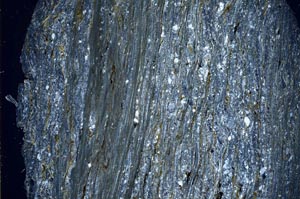 Cross Polarized, S60001