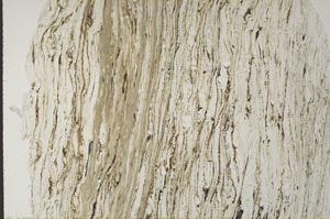 Plane Polarized, S60001