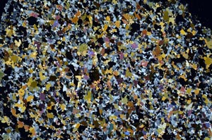 Cross Polarized, S60076