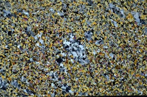 Cross Polarized, S60081