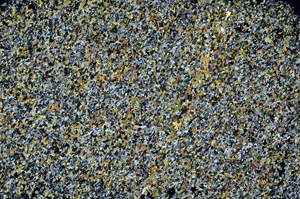 Cross Polarized, S60082