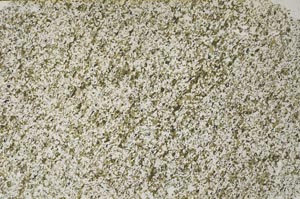 Plane Polarized, S60082