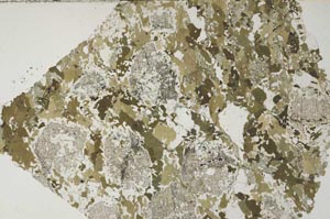 Plane Polarized, S60084