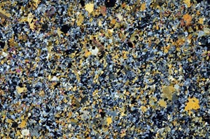 Cross Polarized, S60085