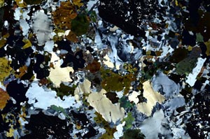 Cross Polarized, S60088