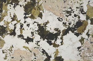 Plane Polarized, S60088