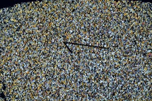 Cross Polarized, S60101
