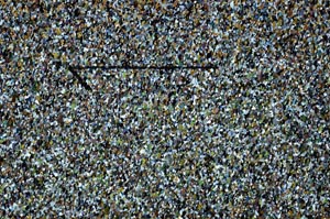 Cross Polarized, S60102