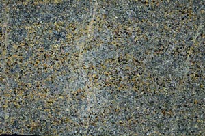 Cross Polarized, S60112