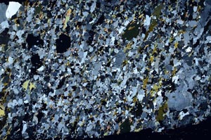 Cross Polarized, S60119