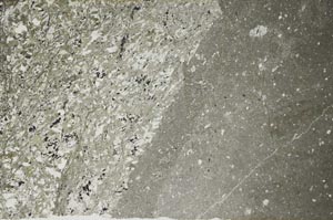 Plane Polarized, S60123