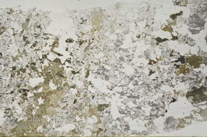 Plane Polarized, S60126