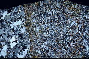 Cross Polarized, S60137