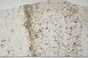 Plane Polarized, S60137