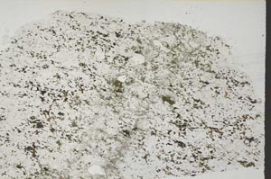 Plane Polarized, S60142