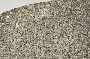 Plane Polarized, S60144