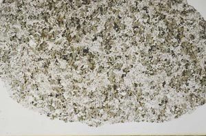 Plane Polarized, S60145