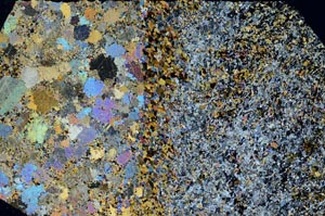 Cross Polarized, S60146/A