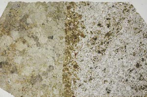 Plane Polarized, S60146/A