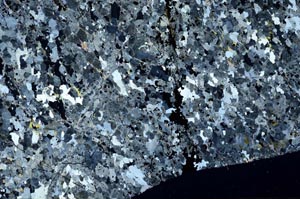 Cross Polarized, S60148